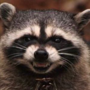 Meet your Posher, Melecia